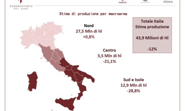 Vendemmia 2023, Assoenologi: produzione italiana in calo del 12%: il peggior raccolto negli ultimi sei anni