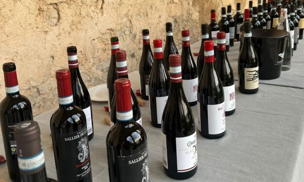 Nero d’Avola, cinque interpretazioni da portare in tavola questo autunno: la degustazione