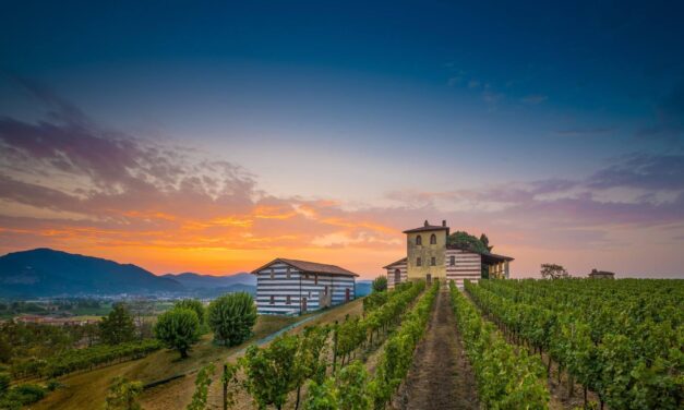 Franciacorta DOCG Pas Dosé, nove bottiglie per comprendere il nuovo trend della denominazione