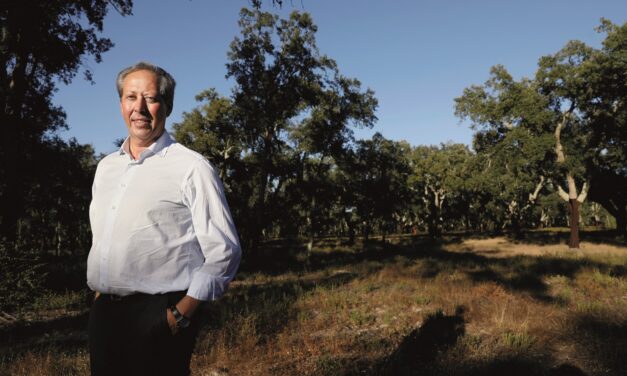 Amorim 2024, così l’azienda più antica del mondo sta rivoluzionando la coltivazione del sughero proiettandola nella A.I.