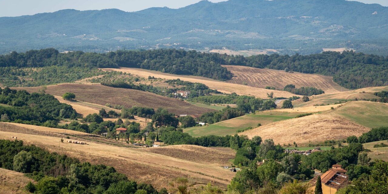Valdarno di Sopra Day: secondo appuntamento con l’anteprima dei vini valdarnesi e questi sono i nostri “magnifici cinque”
