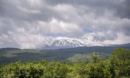 Carricante e Nerello Mascalese, ecco i primi vini della Tenuta Ammura (Tommasi) sull’Etna