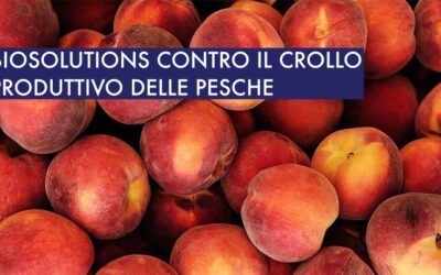 Biosolutions in aiuto delle Pesche. In 20 anni dimezzata la superficie di coltivazione.