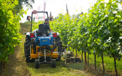 Macchinari agricoli, crolla del 25% export italiano che si attesta a 1,2 miliardi (meno 9% nei primi due mesi del 2025)