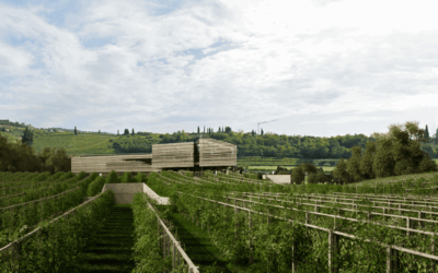 Monteleone 21, debutta la wine experience di Masi che rivoluziona l’enoturismo
