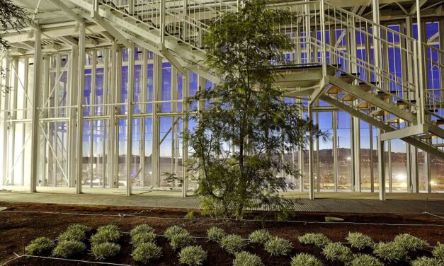 Intesa Sanpaolo: 10 miliardi per le filiere agroalimentari (1,5 per il solo settore vino)