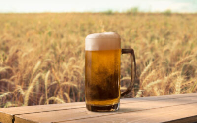 Birra agricola, in cinque anni più 20% e crescono i contratti di filiera