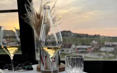 Château de Sacy: un castello incantato immerso nei vigneti