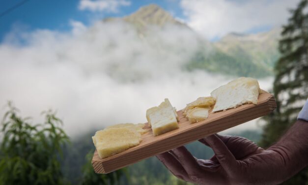 Graukäse, una settimana di eventi in Valle Aurina per conoscere la cultura casearia tirolese