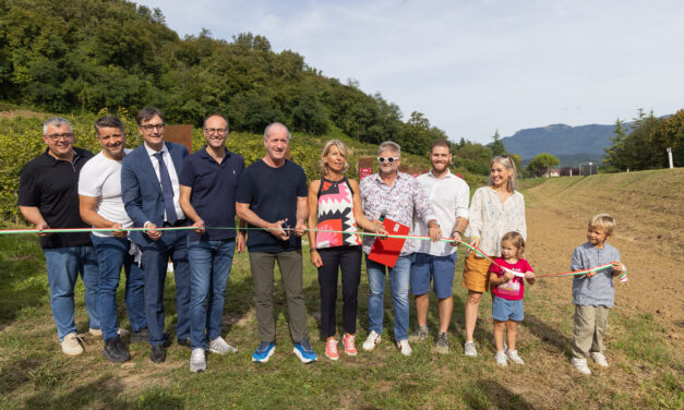 Le Manzane, in cinquecento alla vendemmia solidale 2025