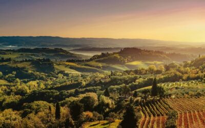 Il Chianti impallidisce di fronte al mercato e dal 2026 diventerà rosè.