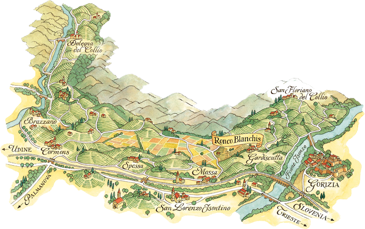 Collio da uve autoctone, cresce il progetto di valorizzazione. entra Ronco Blanchis (Venegazzù Vini)
