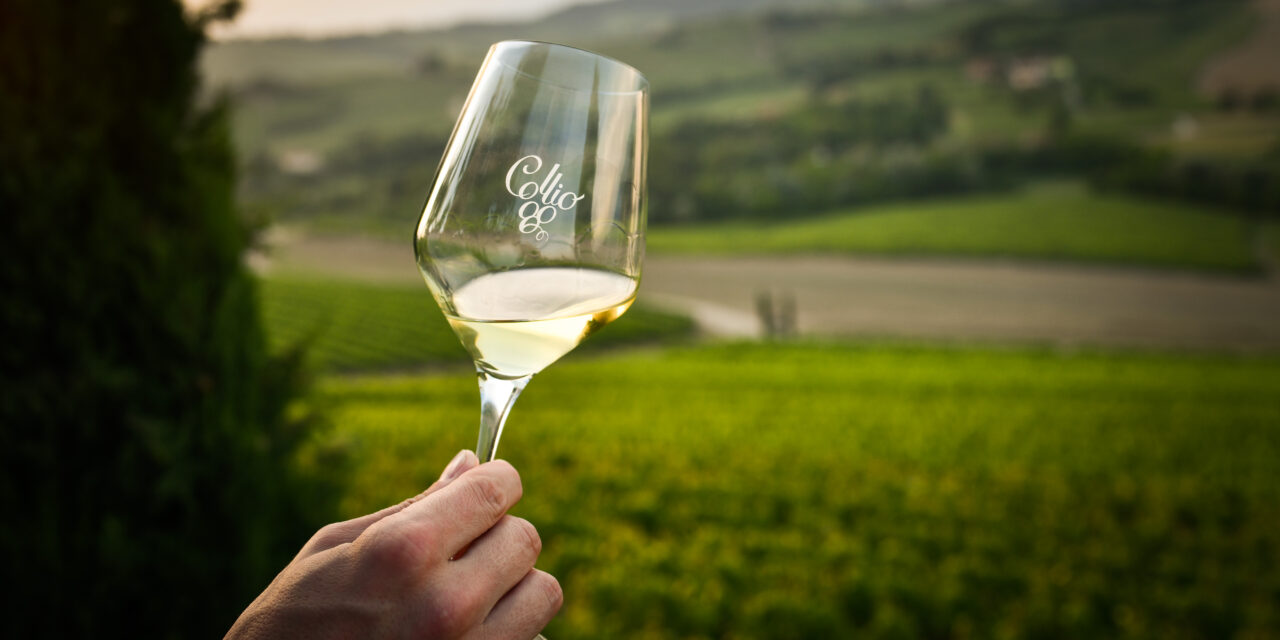 Collio: si riparte dal friulano. La nostra degustazione