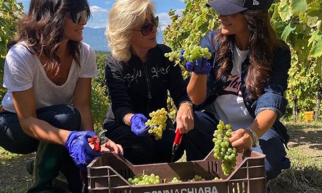 Consorzio “Italia del vino” in crescita: entra l’Irpinia con Donnachiara