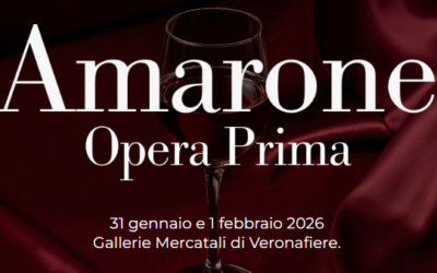 Amarone DOCG  2021, ecco come è l’annata