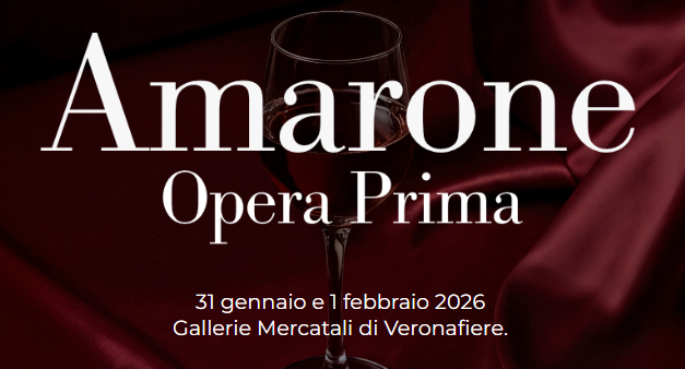 Amarone DOCG  2021, ecco come è l’annata