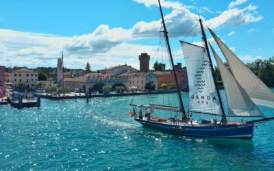 Garda Doc, nel 2025 prodotte 23 milioni di bottiglie