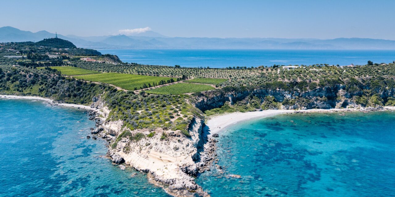 Sicilia, vendemmia 2025 all’insegna dell’armonia nel vigneto bio più grande d’Italia