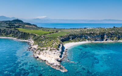 Sicilia, vendemmia 2025 all’insegna dell’armonia nel vigneto bio più grande d’Italia