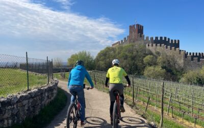 Wine Bike Loop diventa itinerante. Dalla Valpolicella alle Marche