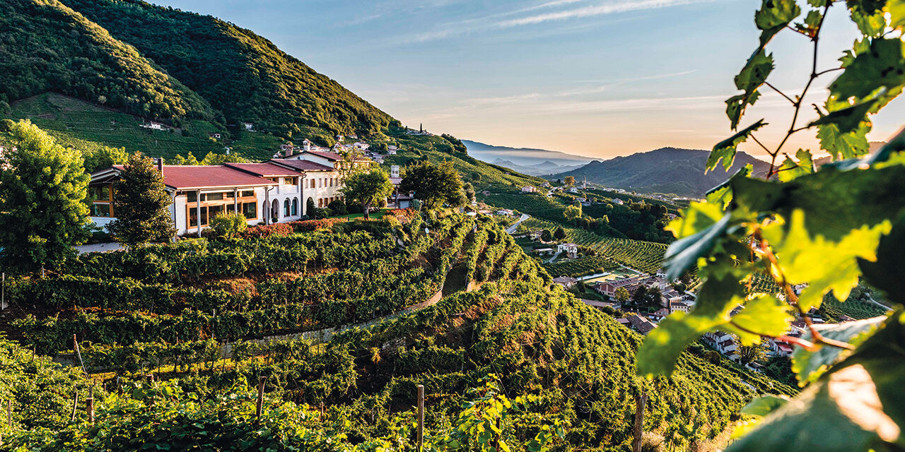 Veneto Agricoltura, produzione vinicola 2026 in linea col 2025 nonostante il clima più estremo