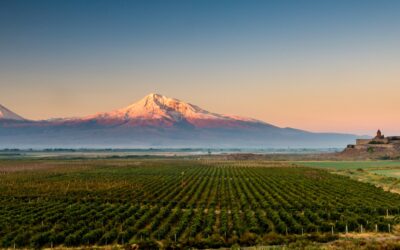 Armenia, la rinascita della culla del vino