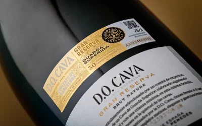 DO Cava, il 2025 è un altro anno di sofferenza: meno 12,8% nelle vendite (meno 23% in Europa).