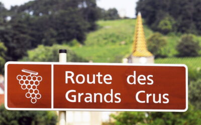La Route des Grands Crus in Borgogna si prepara al leggendario anniversario dei 90 anni