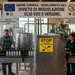 olio evo