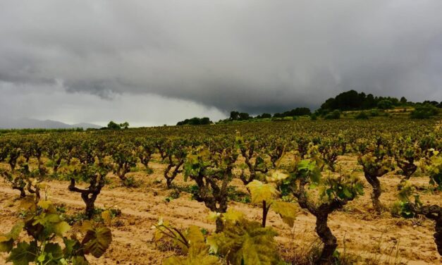 Cava International day: il metodo classico catalano tenta la “reconquista” dei mercati