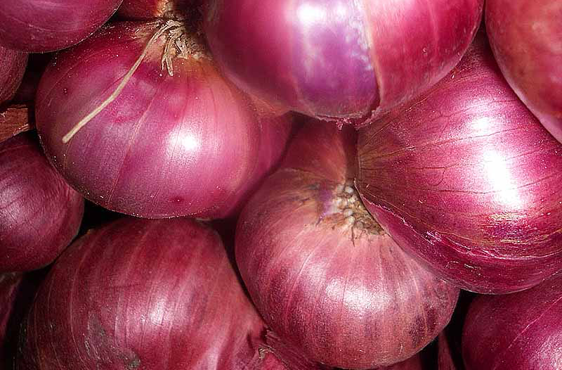 Cipolla della Val Cosa: dal 2006 un Presidio Slow Food da scoprire in Friuli Venezia Giulia